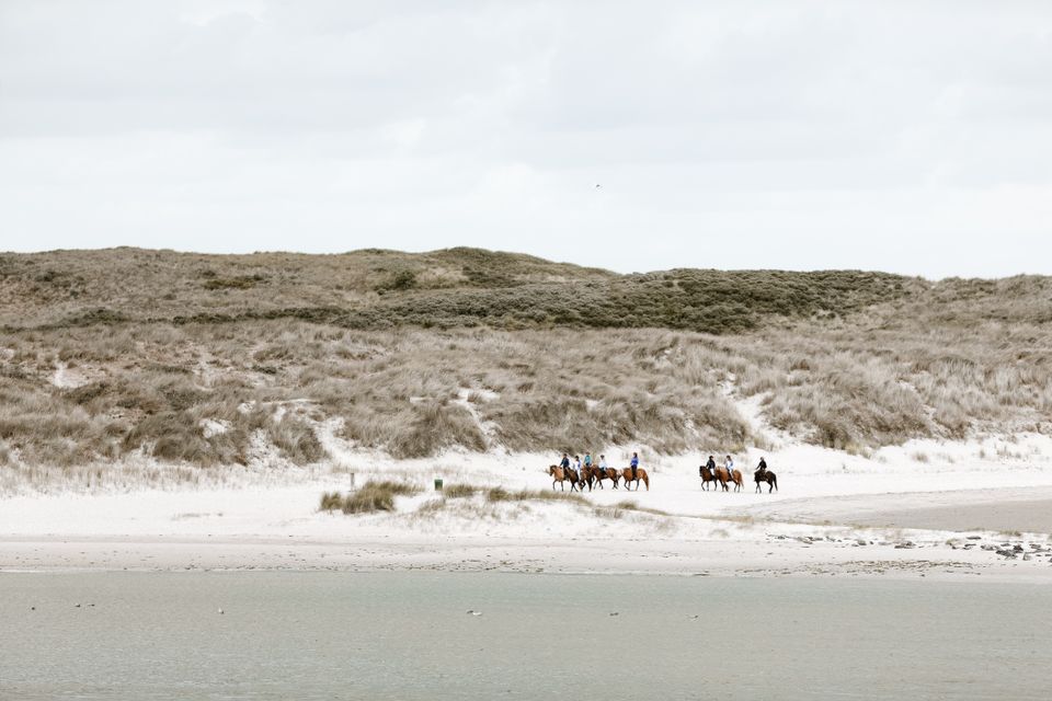 Paardrijden op het strand buitenrit in nederland