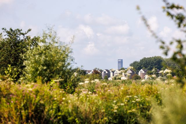 Onder de rook van Leeuwarden