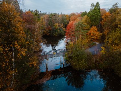 Het stadsbos vanuit de lucht.