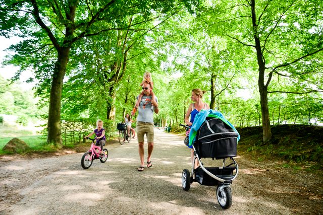 Gezin met jonge kinderen wandelt en fietst over een groen pad op een vakantiepark op de Utrechtse Heuvelrug. De foto laat een ontspannen en kindvriendelijke vakantiesfeer zien, met wandelen, fietsen en buiten zijn in de natuur.