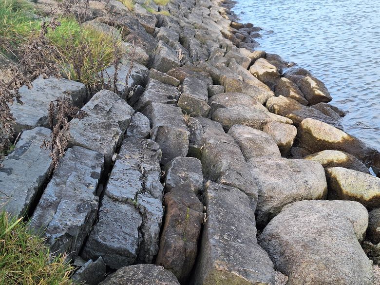 Schatkist van de Zuiderzee