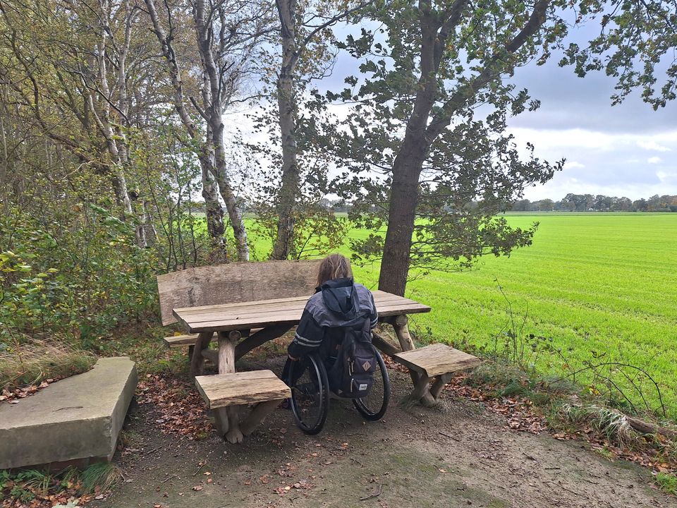 Rolstoelroute bij Fochteloo