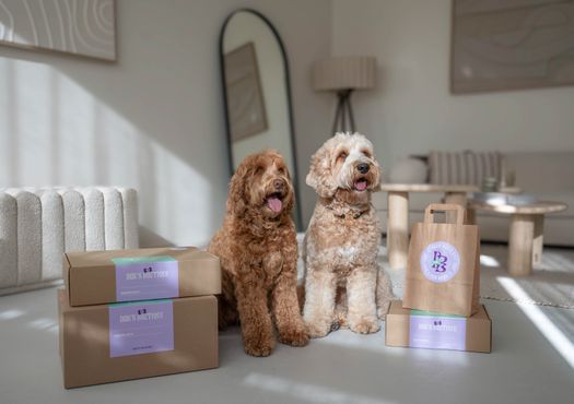 Honden bij pakketjes van Your Dog's Boutique