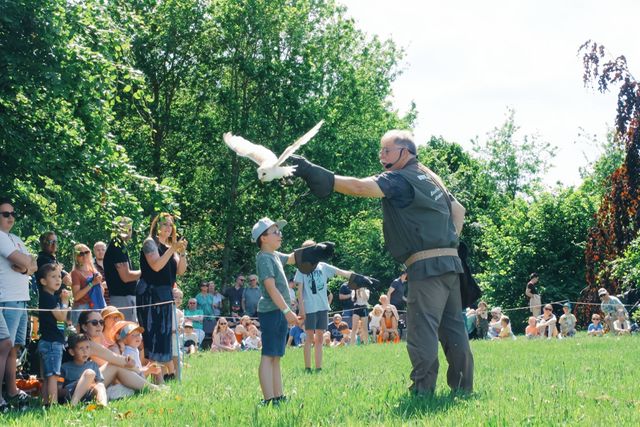 Feestelijke seizoensopening | Met spectaculaire roofvogelshow