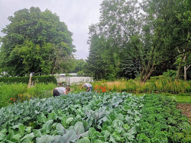 Proeftuin biologisch tuinieren