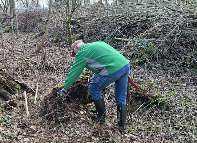 NLdoet bij IVN Laarbeek