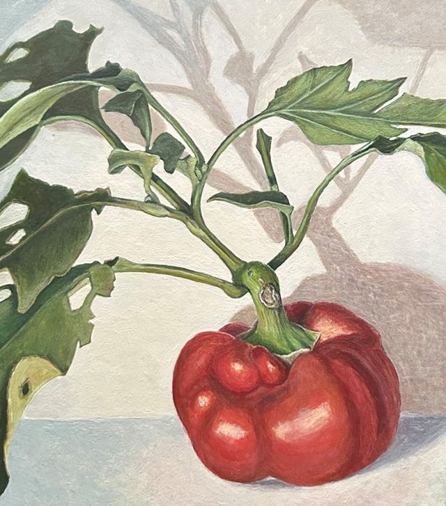 Werken van Anuschka de Smidt