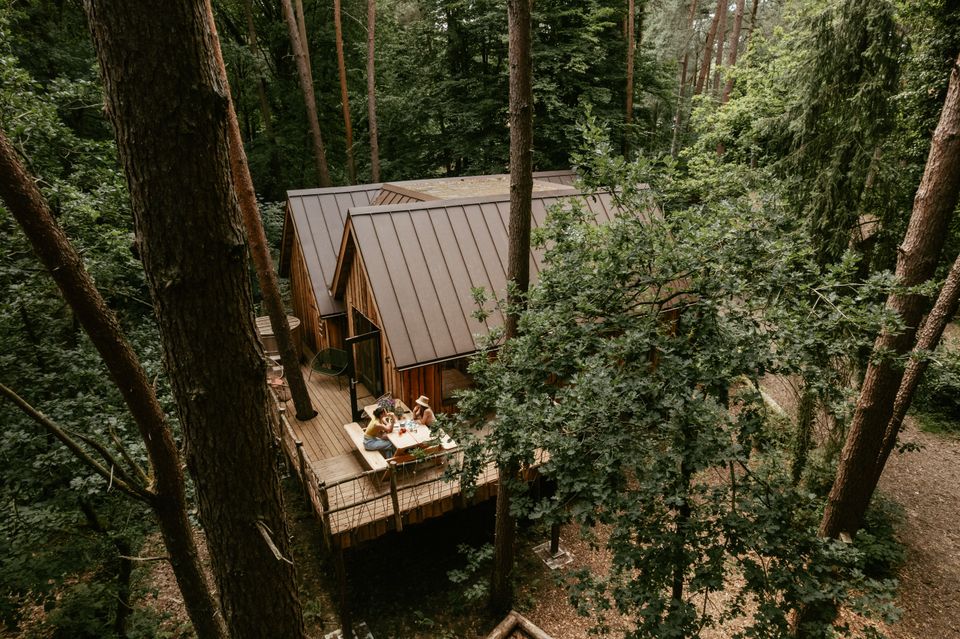Houten boomhuizen vanuit de lucht met zicht op die daken en het terras met twee rouwen