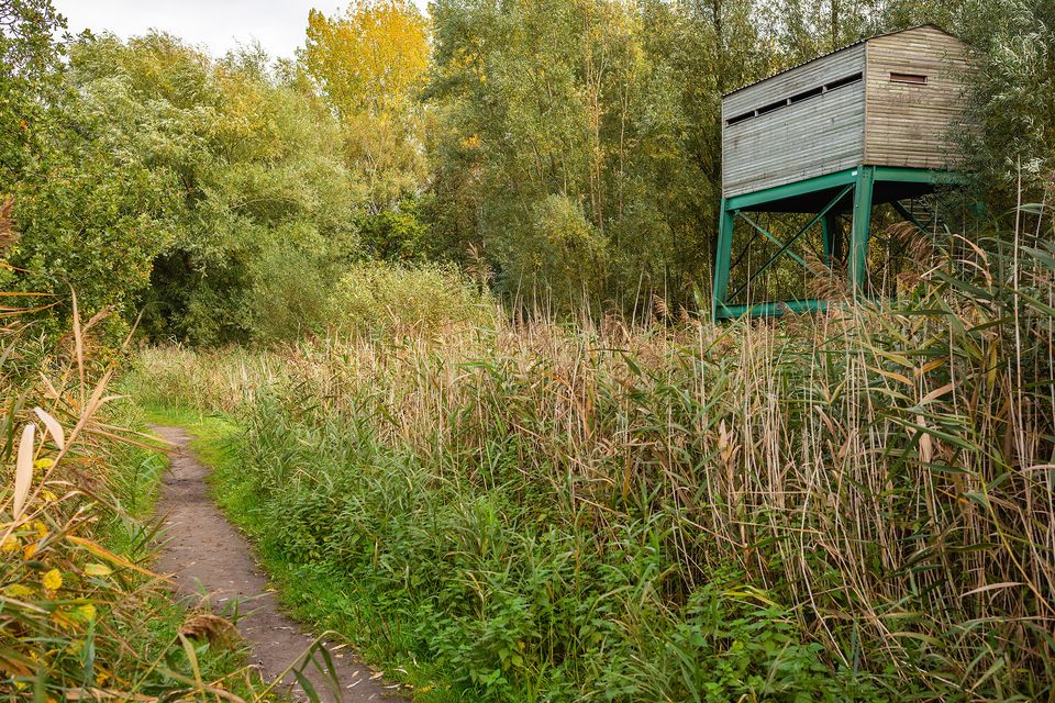 Uitkijktoren Gemeentevijver Hageven