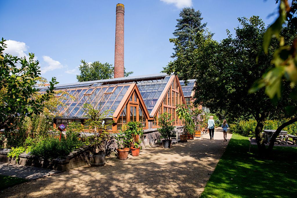 De Oude Hortus in Utrecht, achter het UMU Universiteitsmuseum Utrecht