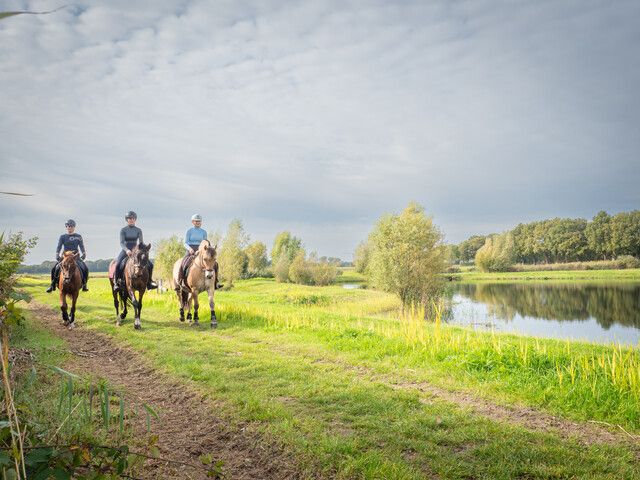 Paardrijden Hilvarenbeek