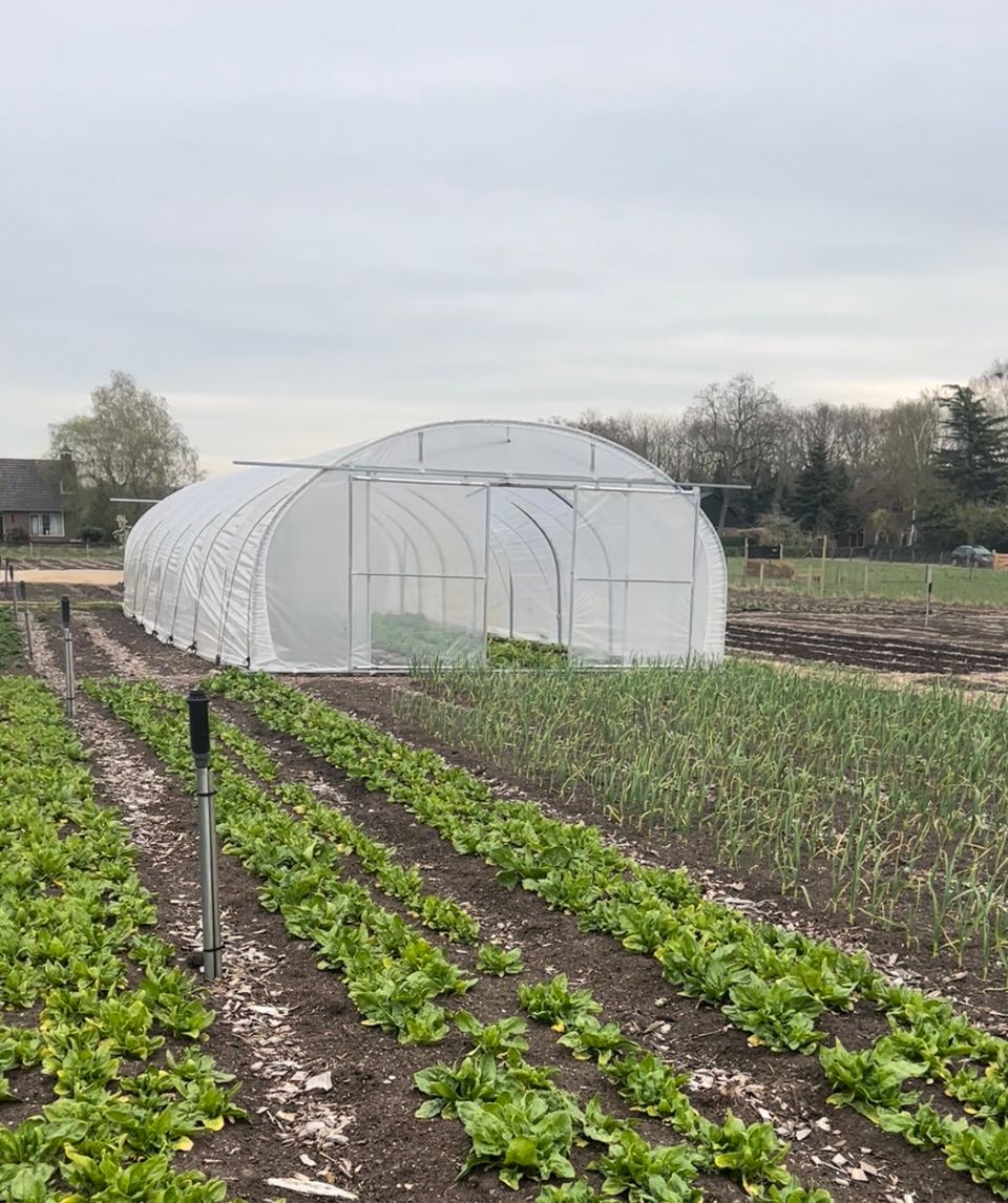 Pluktuin Gelukkige Groentes