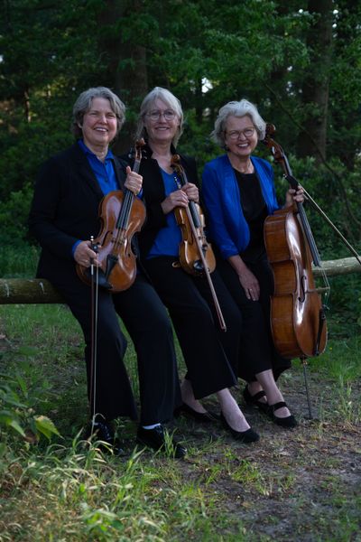 Strijkorkest Da Capo