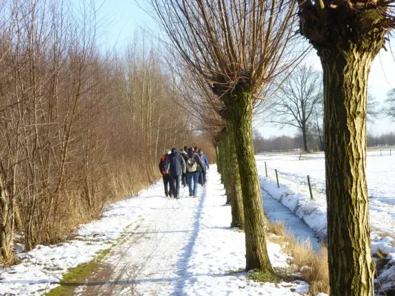 Wandelen | IVN-KNNV Doorstapwandeling