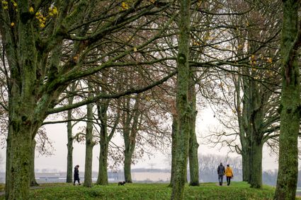 Een aantal wandelaars lopen in de herfst over de vestingwallen van Klundert