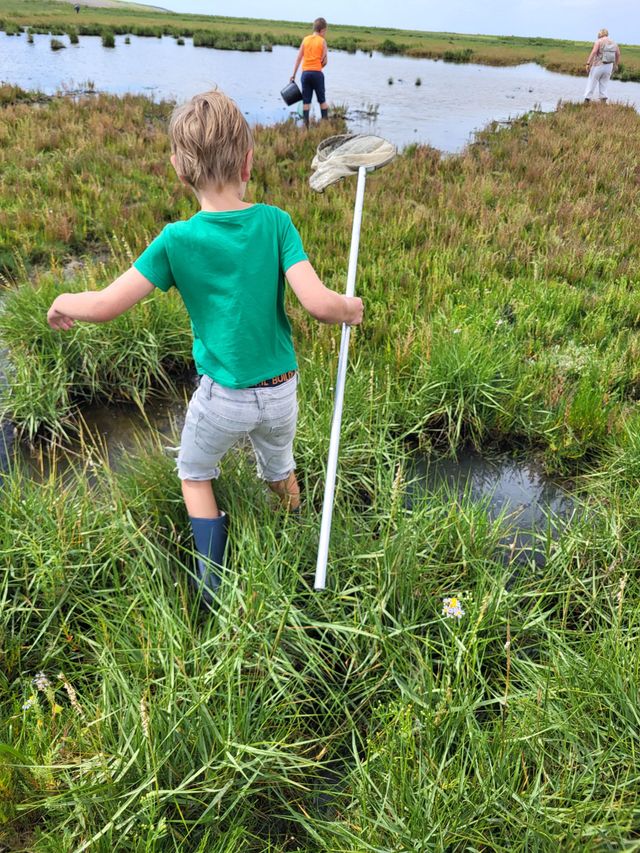 Kwelderexcursie Bezoekerscentrum Waddenkust 