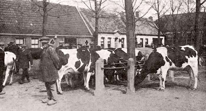 Noordwestelijk marktplein in De Beemster