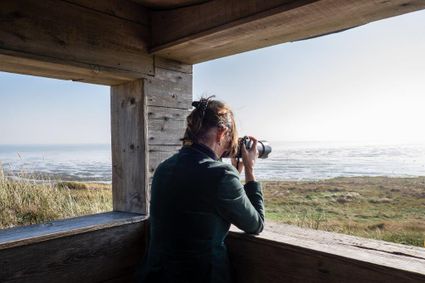 Vogelkijkhut Vlieland