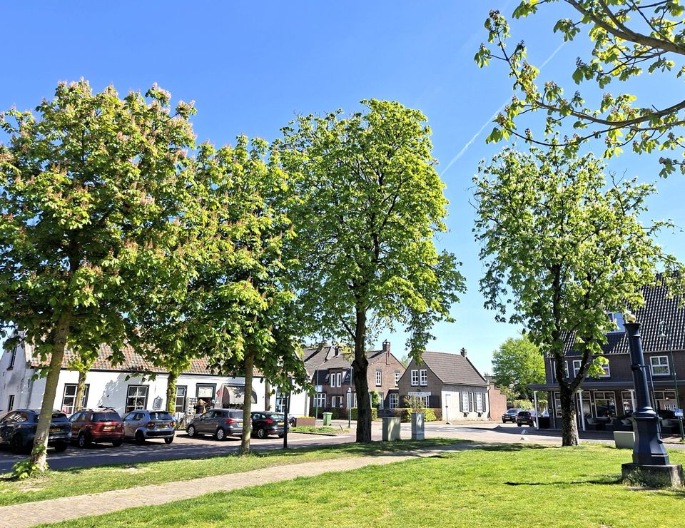 Bomenwandeling