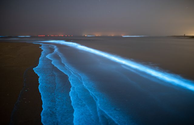 Photo with Sea Sparkle