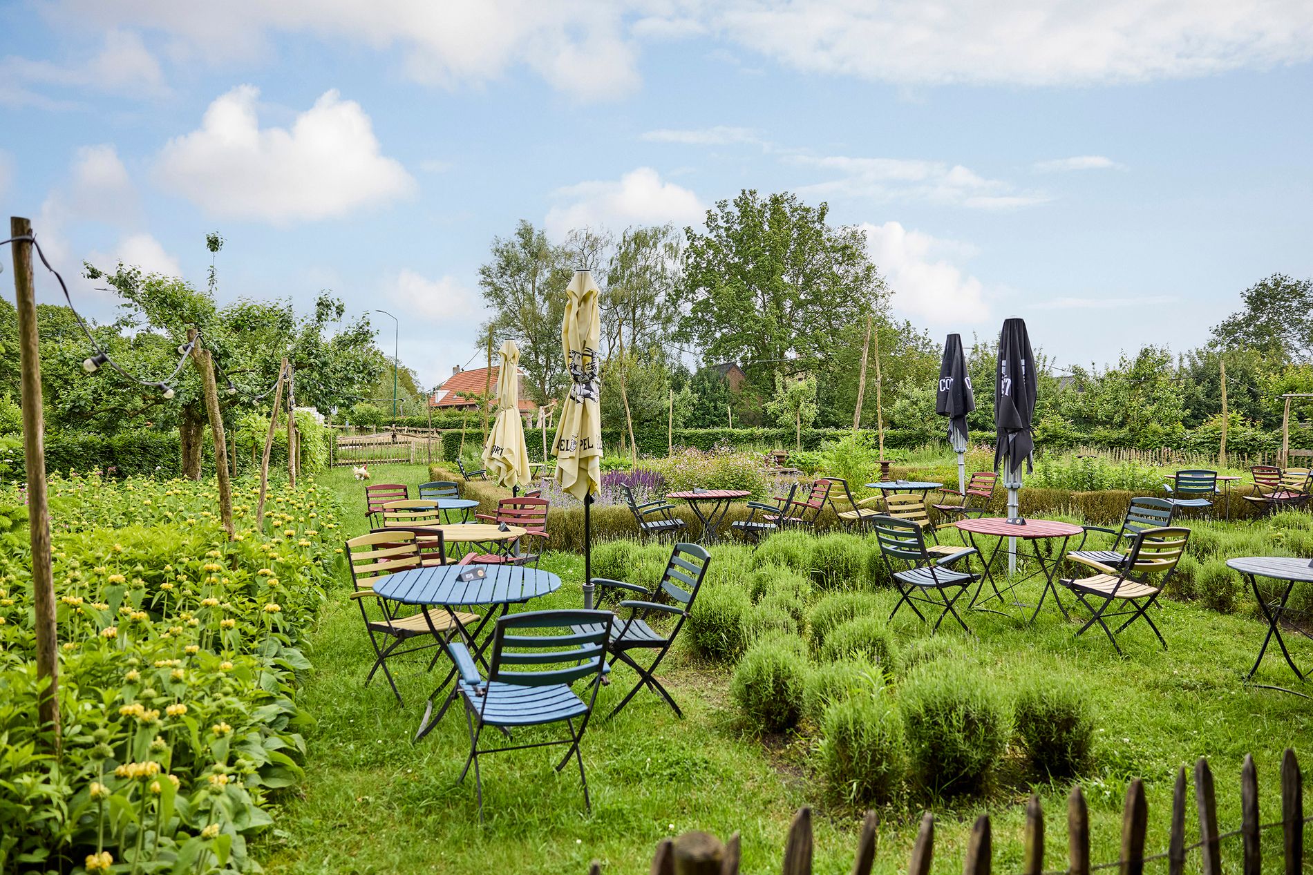 Groot terras in de tuin van de Buitenman