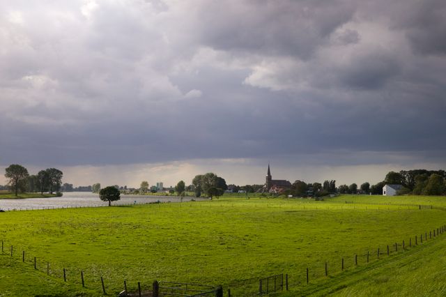 Maas