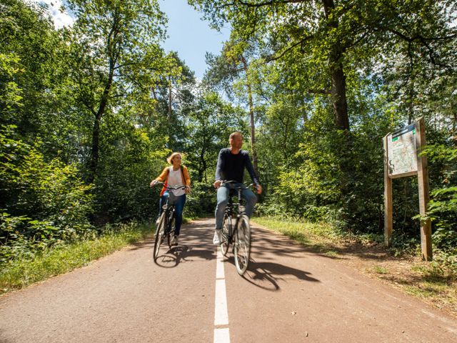 Twee fietsers die door een bos fietsen