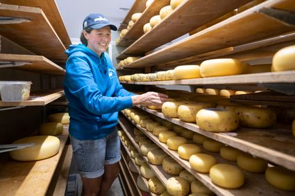 Kaas van De Zeven Koeien