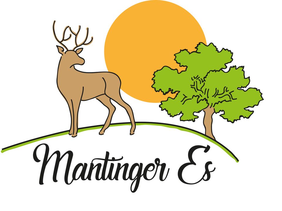 Logo de Mantinger Es