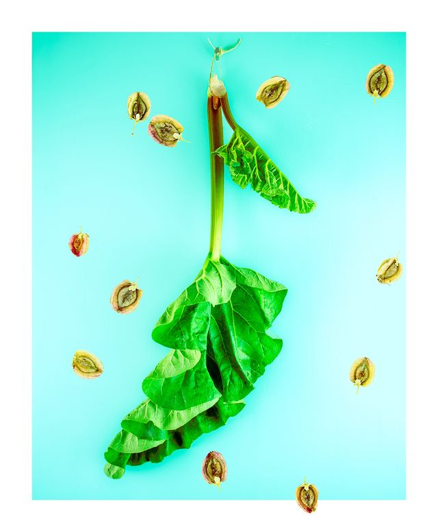 Print geïnspireerd op het werk van Lodewijk Bruckman