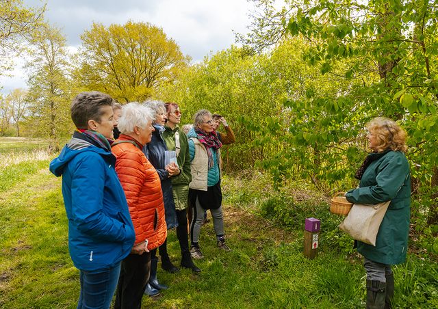 Wildplukwandeling in Zuidwest-Drenthe