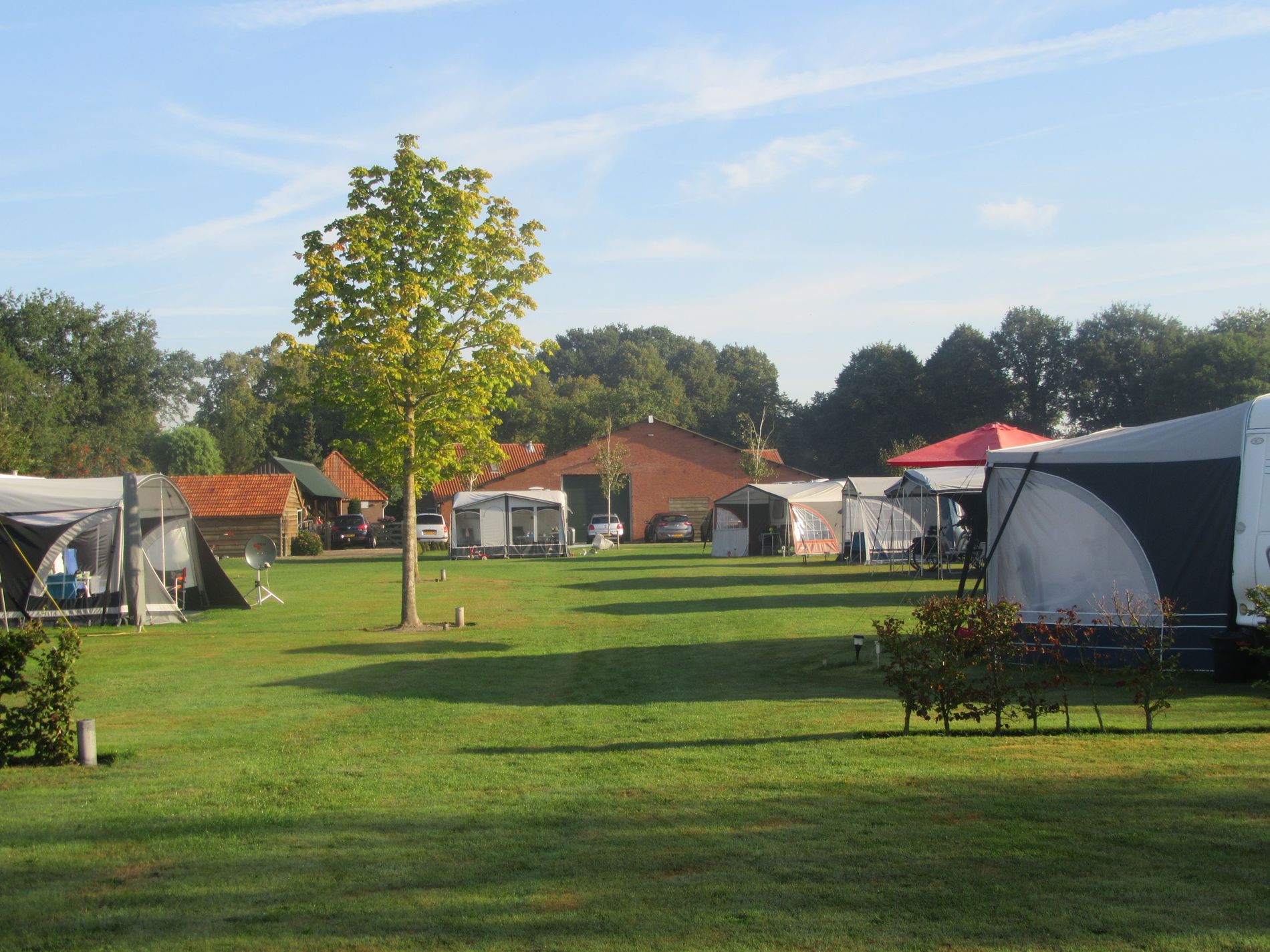 Een groen veld met diverse caravans met voortenten en in het midden een kleine boom.