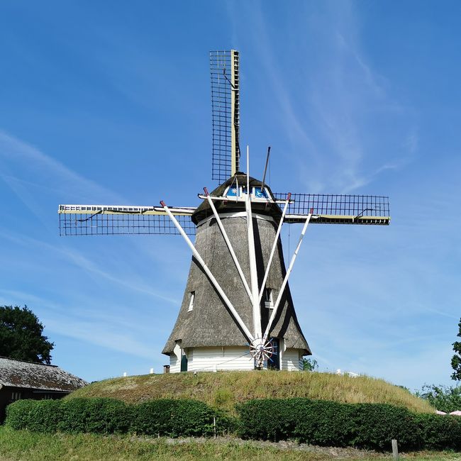 Molen de Duif fietsers