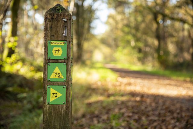 Een houten paal met groen-gele bewegwijzering voor wandelroutes.