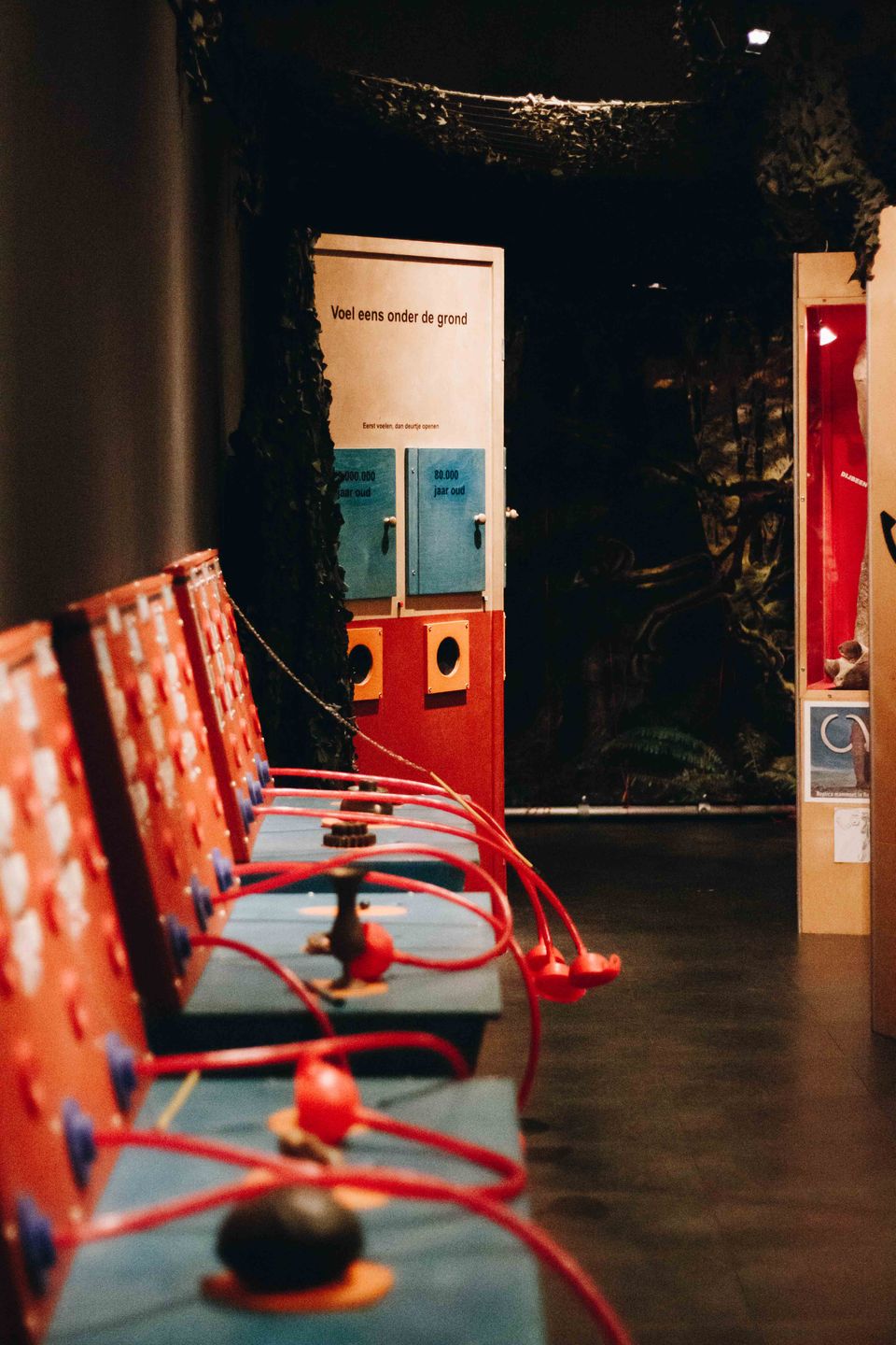Natuurhistorisch museum Maastricht tentoonstelling schatgraven