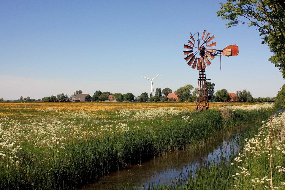 Natuurgebied Skrok Friesland