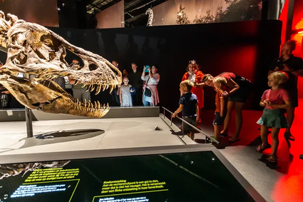 Musea