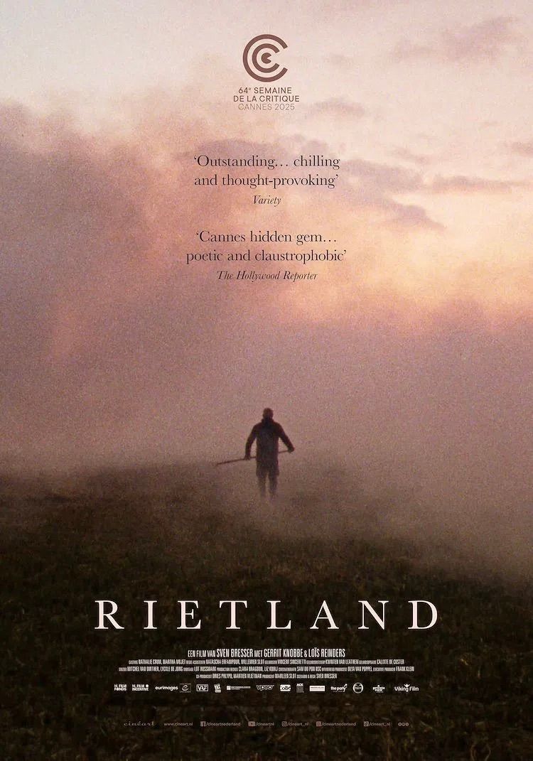 Poster Rietland
