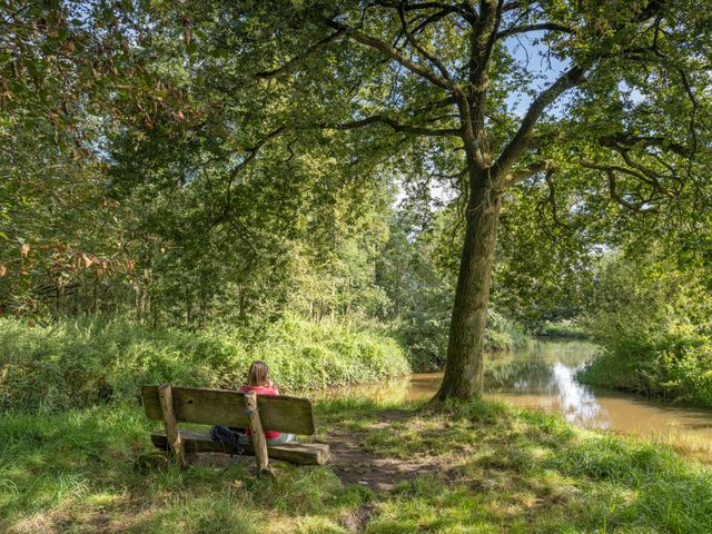 Boswachter ellen op een houtenbankje in het bos uitkijkend naar de Dommel.