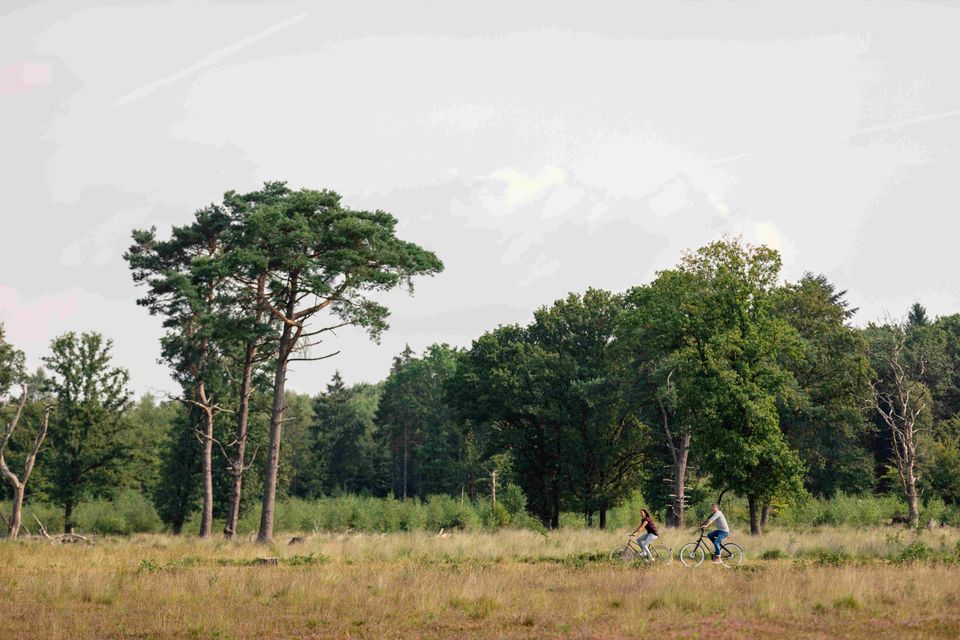 Fietsen door Zuidwest-Drenthe