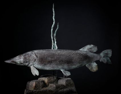 Snoek voor een donkere achtergrond