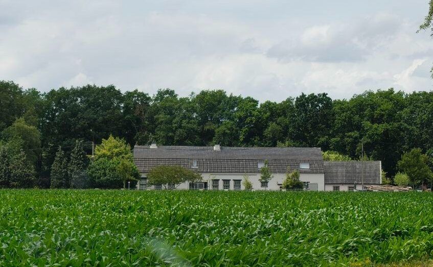 Herberg 't Rodenrijtje