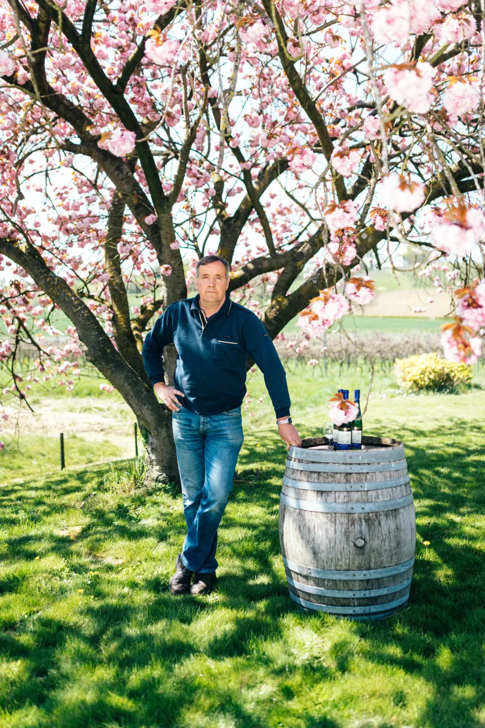 Hoeve Nekum wijngaard