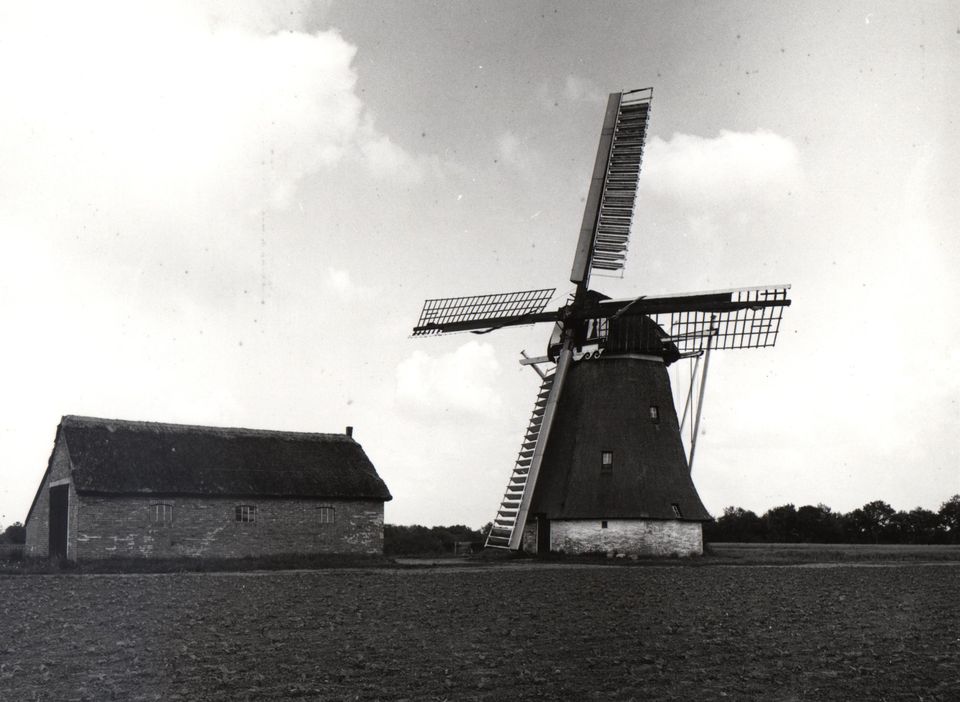 MZ12905000203