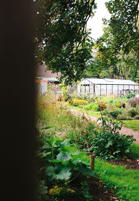Tapijntuin kas