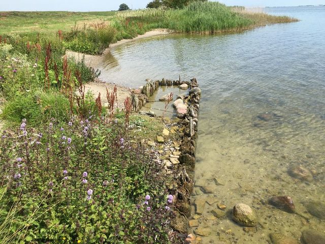 Schatkist van de Zuiderzee