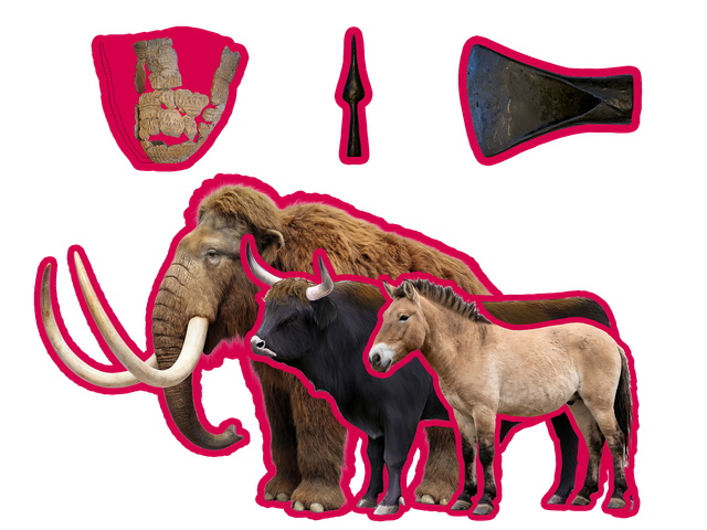 Prehistorische dieren en vondsten uit Den Bosch
