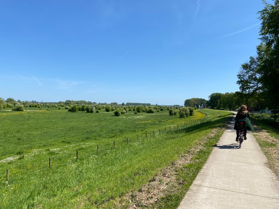 Fietsen Uiterwaarden