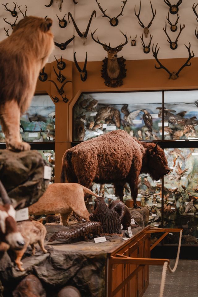 Missiemuseum in Steyl, Venlo