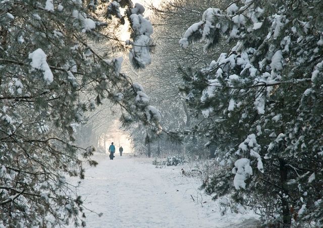 Winterwandeling en Trailrun